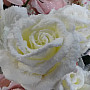 Rose white 65 cm