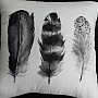 Pillow-case 45x45 FEATHERS black