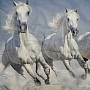Decorative coating HORSES IN WINTER