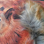 Decorative pillow-case SQUIRREL 3D with a tail of artificial fur 40x40