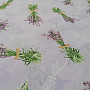 Decorative fabric LAVENDER bouquet LILAC