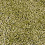 Rug SHAGGY EXTRA green