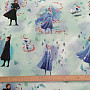 Children decorative fabric GFROZEN