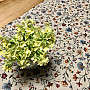 Gobelin tablecloth Jurkovič flowers - small flowers