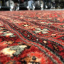 Luxury wool carpets KASHQAI 4372/300