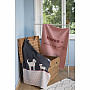 Cotton blanket DF for pets