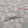 Decorative fabric ROSETO DRAGONFLY gray-green