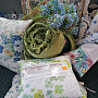 Waxflower blue 78 cm