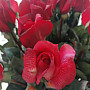 Rose bud red 70 cm