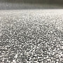 Carpet cut CAPRI 34883 gray