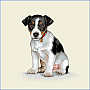 Tapestry pillow-case Jack Russell terier