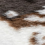 Modern rug RODEO 201 COW