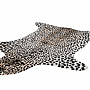 Modern rug RODEO 204 GEPARD