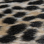 Modern rug RODEO 204 GEPARD
