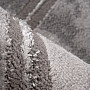 Modern carpet MARMARIS 402 silver