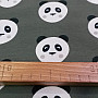 Cotton jersey PANDA
