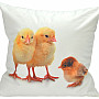 Decorative pillowcase CHICKEN