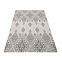 ZARA13 gray buccal carpet