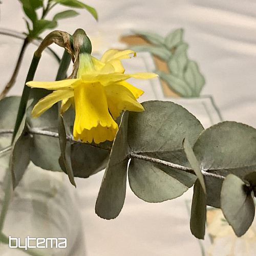 Daffodils embroidered tablecloth