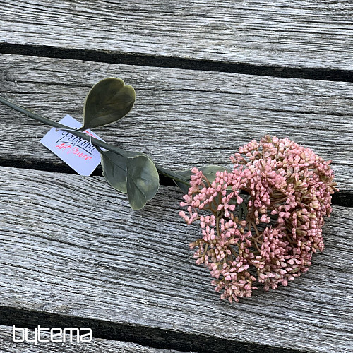 DRY FULL BLOOM SEDUM 46 cm old pink