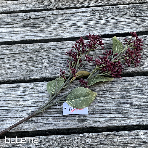 DRY VIBURNUM TINUS 58 cm burgundy