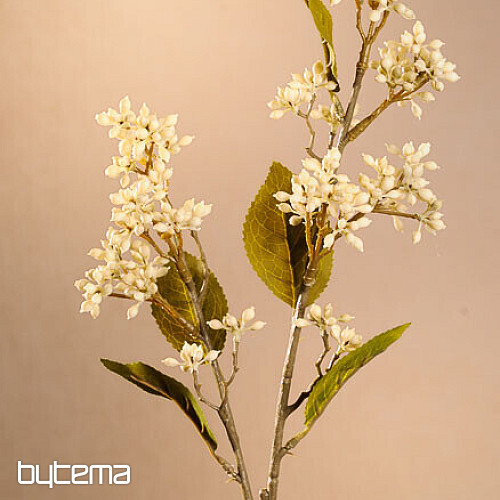 DRY VIBURNUM TINUS 58 cm white
