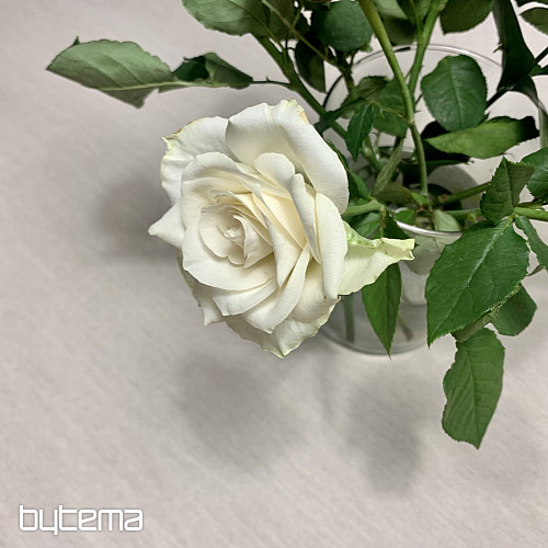 Tapestry tablecloth and scarf NATUR