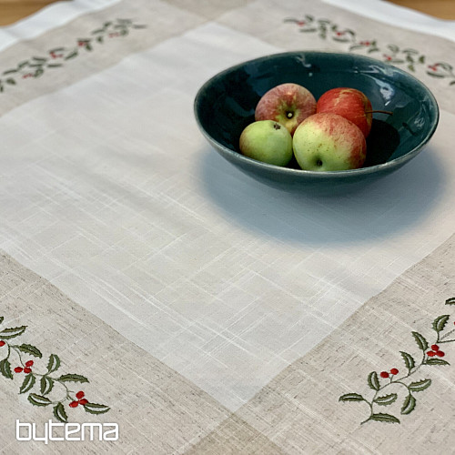 Tablecloth Twigs mistletoe frame