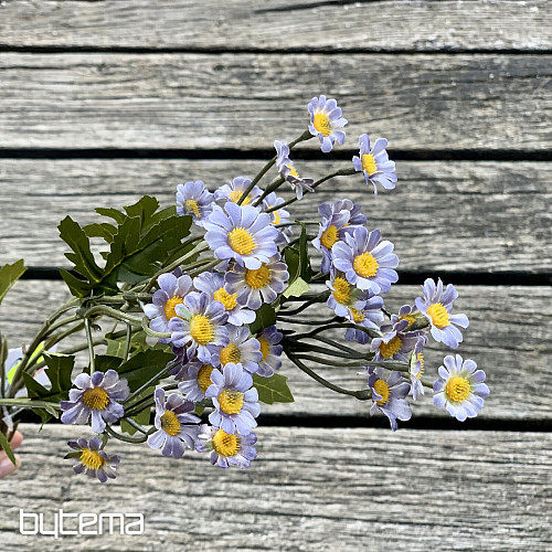 MINI DAISY BLUE