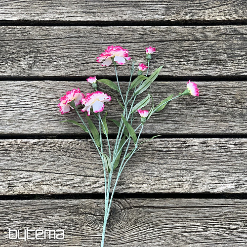 CARNATION pink and white