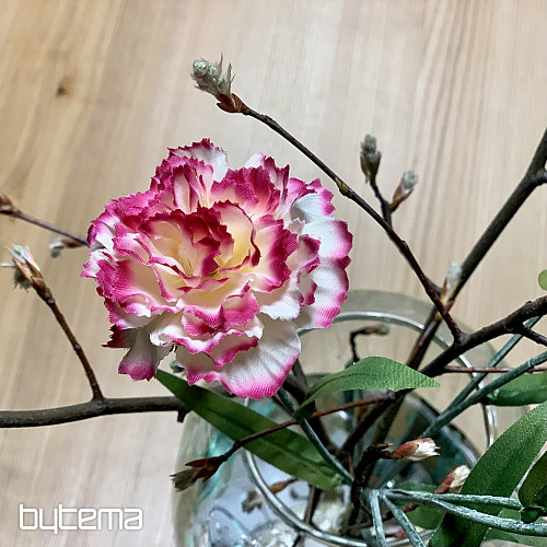 CARNATION pink and white