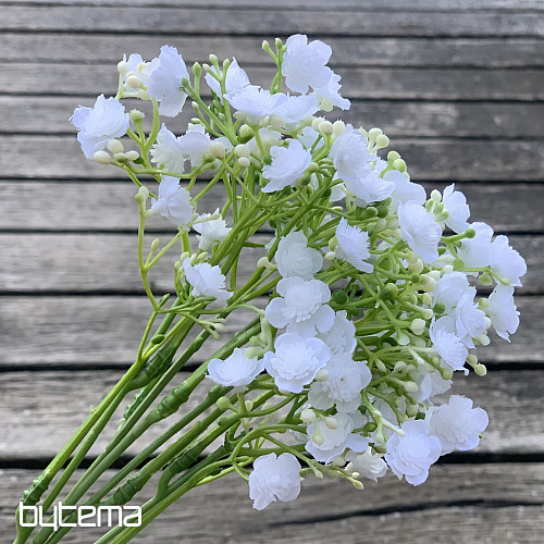 GYPSUM SPRAY WHITE