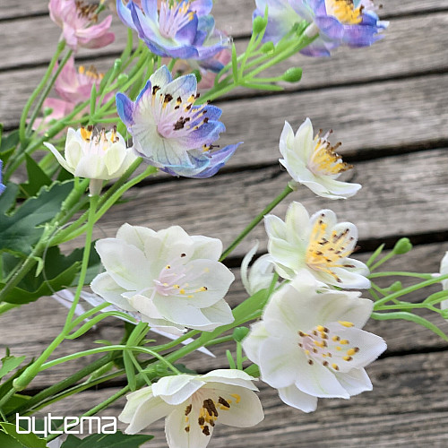 WHITE WILD FLOWER