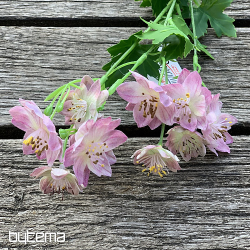 WILD FLOWER PINK