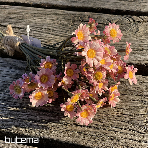 PINK CHAMOMILE
