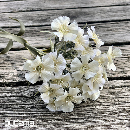 WHITE CARNATION