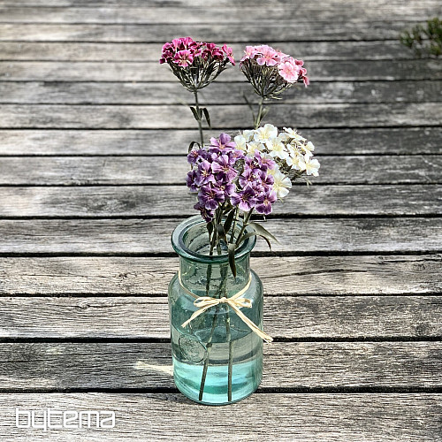 PURPLE CARNATION