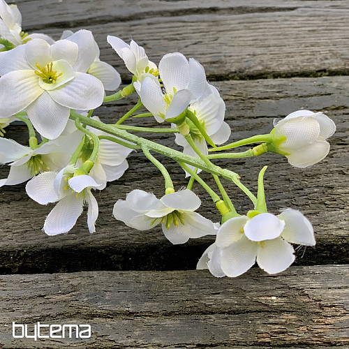 DELPHINIUM WHITE