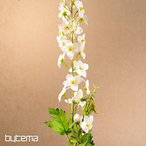 DELPHINIUM WHITE