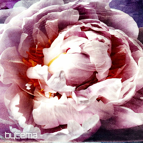 Microflannel bedding PEONY