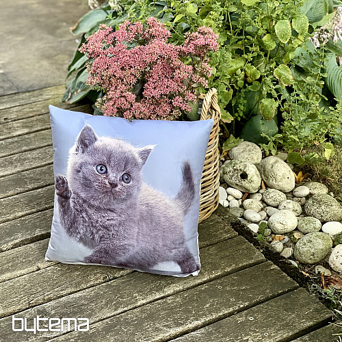 Decorative cover KITTY