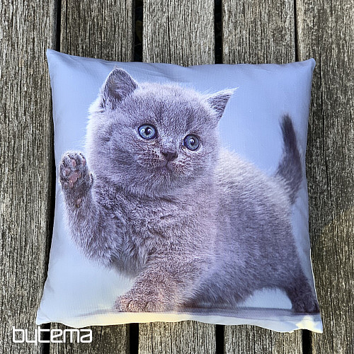 Decorative cover KITTY