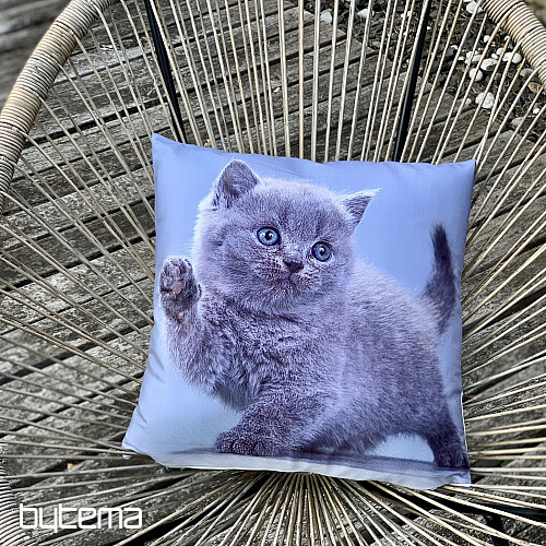 Decorative cover KITTY