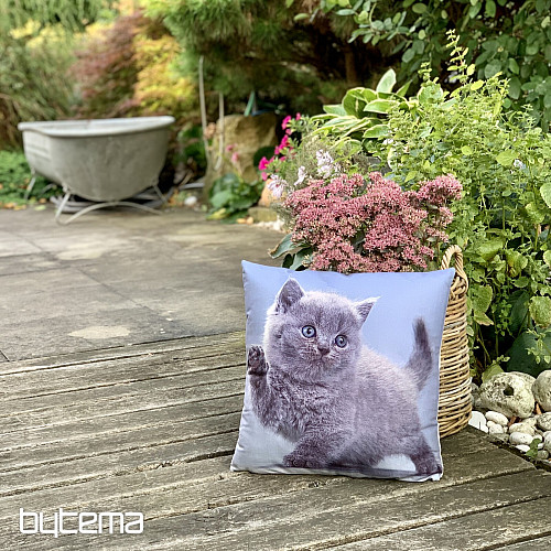 Decorative cover KITTY