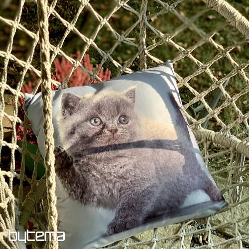 Decorative cover KITTY