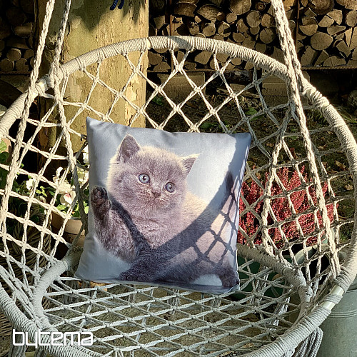 Decorative cover KITTY