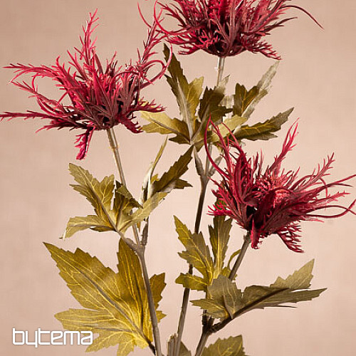 DRY WILD SEA HOLLY RED