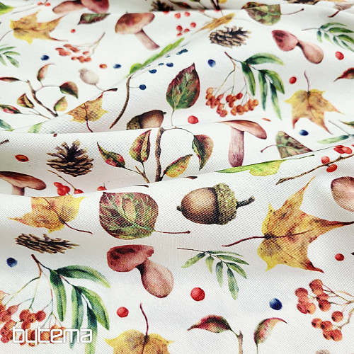 Decorative fabric AUTUMN FRUITS