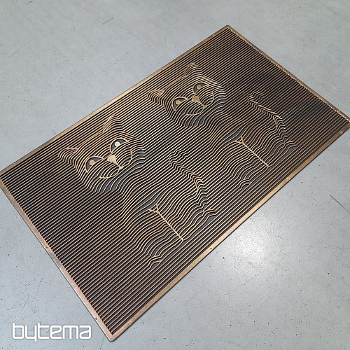 Rubber doormat TWO CATS 3D