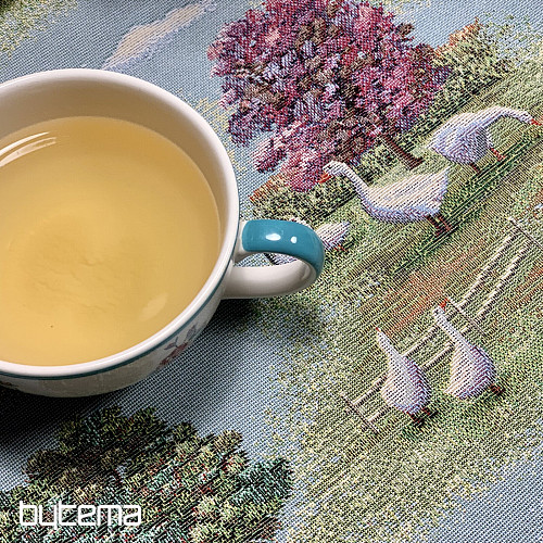 Tapestry tablecloth and scarf VENKOV